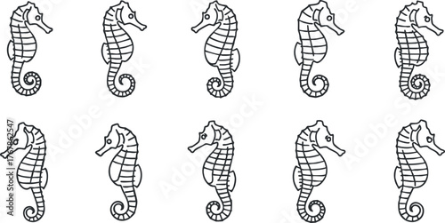 A collection of outlined seahorses in black and white depicting marine life and ocean themes.