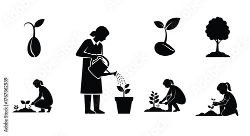 Stages of plant growth and people tending to young plants
