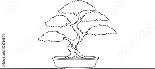 A minimalist outline illustration of a bonsai tree in a decorative pot.