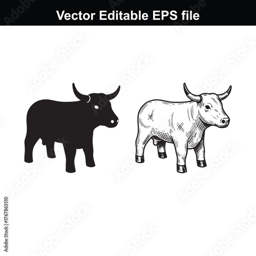 Silhouette and sketch of a bull with horns