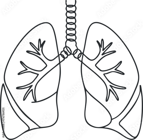 Outline illustration of human lungs depicting the respiratory system for educational purposes.