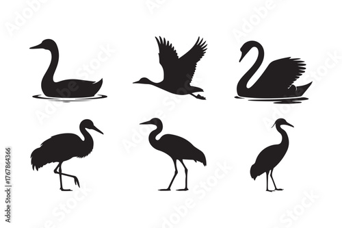 Silhouette collection of graceful water birds in various poses
