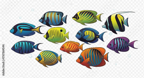Colorful tropical fish swimming together in a group on a transparent background