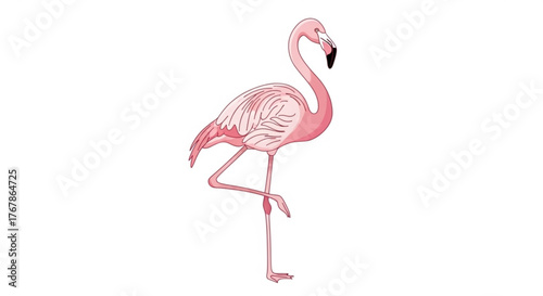 Elegant pink flamingo standing gracefully on one leg in a simple vector design