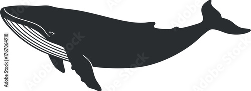 A silhouette of a whale swimming gracefully through the ocean waters.