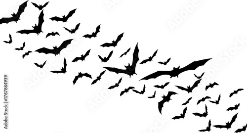 Bat swarm silhouette. Bats flying together in a diagonal pattern create a striking silhouette. Vector illustration black clipart design.