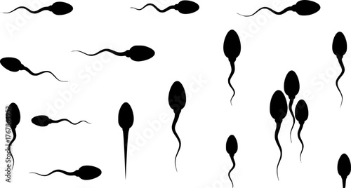 
Sperm silhouette. This image shows a black silhouette of a sperm cell, known as spermatozoon, on a white background, representing microscopic biological elements. Vector clipart illustration design
