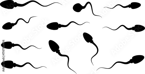 
Sperm silhouette. This image shows a black silhouette of a sperm cell, known as spermatozoon, on a white background, representing microscopic biological elements. Vector clipart illustration design
