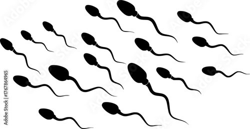 
Sperm silhouette. This image shows a black silhouette of a sperm cell, known as spermatozoon, on a white background, representing microscopic biological elements. Vector clipart illustration design

