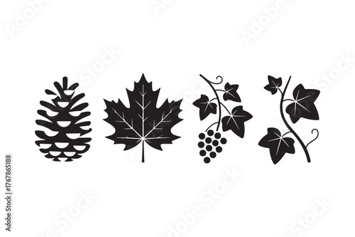 Rustic autumn nature icons pinecone maple leaf grapes and vines