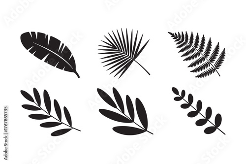 Collection of six stylized black tropical leaves and fronds