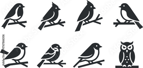 A collection of silhouettes of various birds perched on branches including an owl.