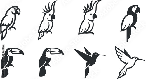 A collection of black and white bird illustrations featuring various species including parrots and toucans.