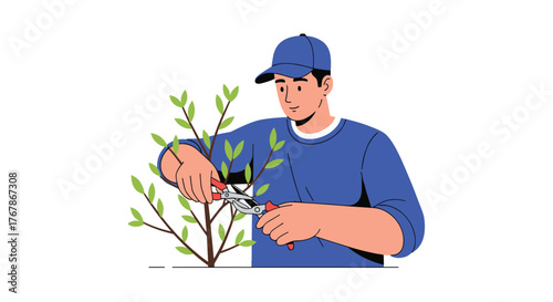 Gardener pruning a small tree with gardening shears.