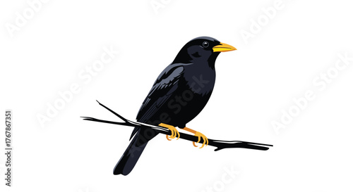 A graphic illustration of a black bird with a bright yellow beak and yellow legs, perched on a bare branch.
