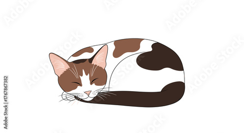 A cute brown and white cat with distinctive markings is peacefully curled up and sleeping on a white background, embodying tranquility.