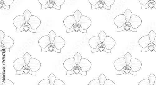 Elegant black and white pattern of sketched orchids creating a delicate, seamless floral background suitable for various design projects.