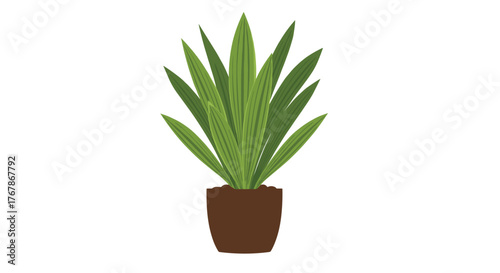 A simple illustration of a vibrant green houseplant with long, spiky leaves in a brown pot, isolated on a white background.