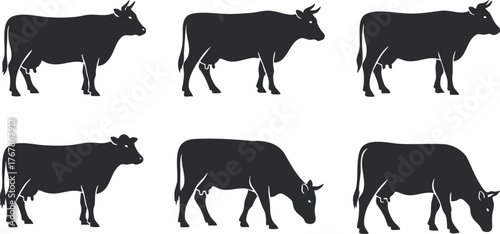 Silhouettes of cows in various poses illustrating farming and livestock themes.