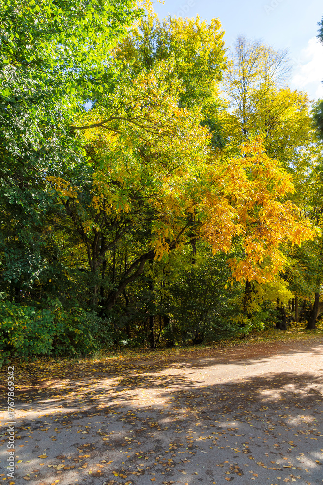 Naklejka premium Autumn Landscape of South Park in city of Sofia, Bulgaria