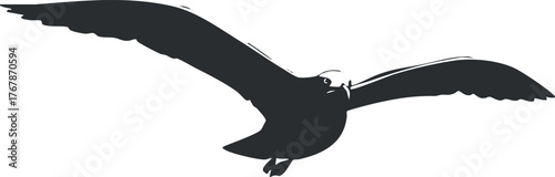 A majestic silhouette of an eagle soaring through the sky, representing freedom and nature.