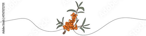 Sea Buckthorn in one line art style. Drawing of a sea buckthorn branch with berries and leaves, with editable black stroke and color on white background. Vector illustration.
