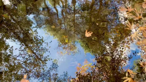 In a pond, lake, yellow dry autumn leaves float on the waves in the forest.