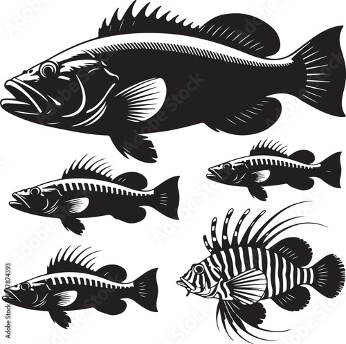 Black and white graphic illustrations of five different fish species silhouette