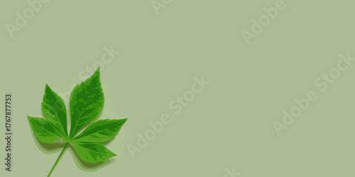 Simple green design with leaf.
