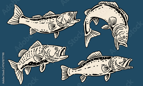  set of four bass fish in a monochrome vintage style. Hand drawn illustration for a fishing t shirt print on a dark background