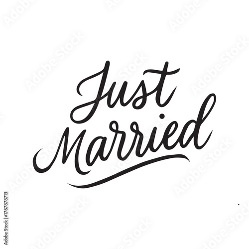 Elegant Wedding Calligraphy. Romantic Hand-Lettered Typography for Invitations and Decor