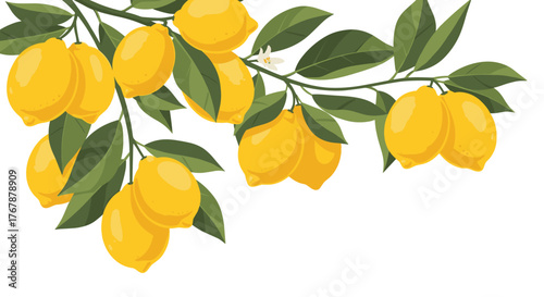 A vibrant illustration featuring lemons on a branch with green leaves, suitable for various design projects and themes.