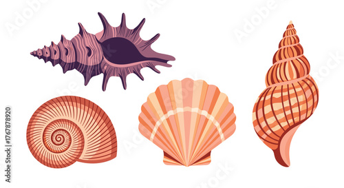 Collection of five colorful stylized seashells on a white background.
