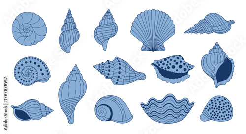 Collection of blue seashells in various shapes and sizes on a white background, perfect for nautical-themed designs and illustrations.
