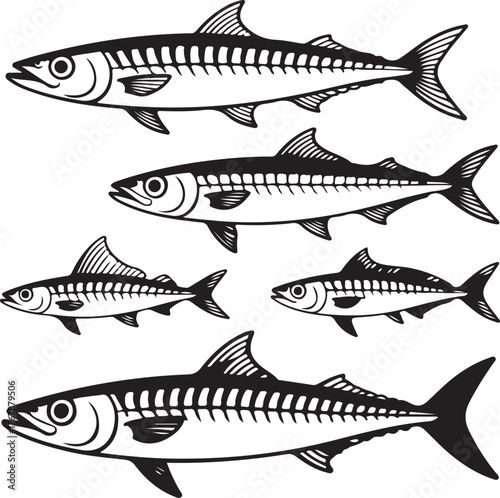 Five Black and White Mackerel Fish Illustrations on White Background marine life