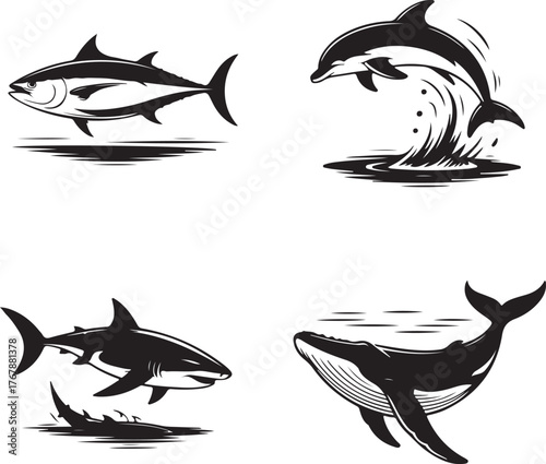 Tuna dolphin shark whale marine life vector illustrations tuna fish dolphin jumping