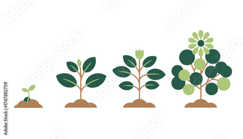 A timelapse of plant growth depicting the transformation from seedling to mature plant over several weeks through a series of images.