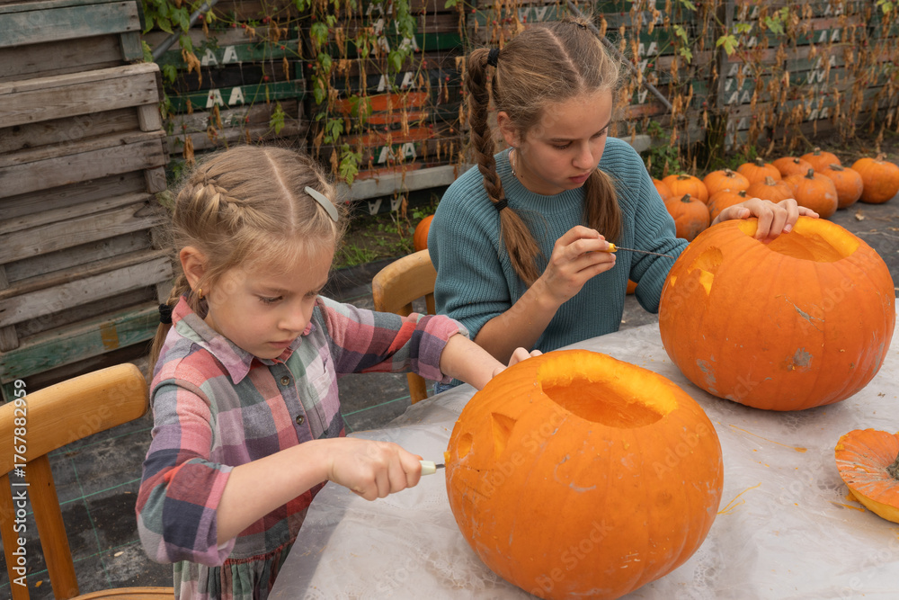 Fototapeta premium Two young girls, one with braids and the other with long hair, are carving pumpkins together outdoors, showcasing creativity and teamwork in a festive autumn setting