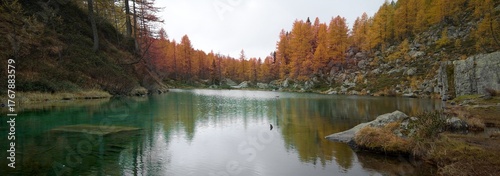 Anamorphic Lens - Fantastic foliage at the Witches' Lake in Crampiolo on Alpe Devero
