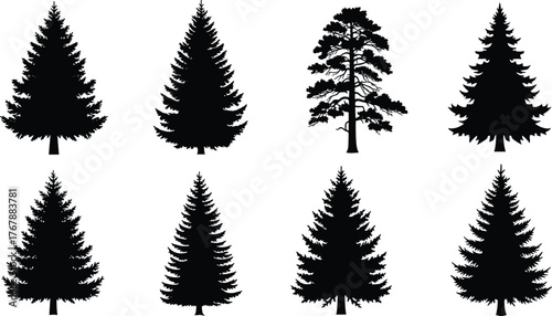 silhouette, conifer, pine, forest, evergreen, tree, nature, vector, black, outline, shape, design, decor, graphic, illustration, conifer tree, pine forest, evergreen tree, tree silhouette, 