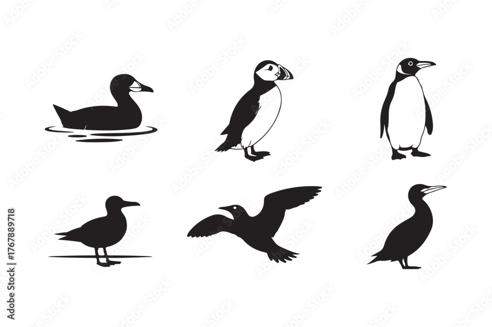 Obraz premium Collection of six silhouette illustrations of different seabirds