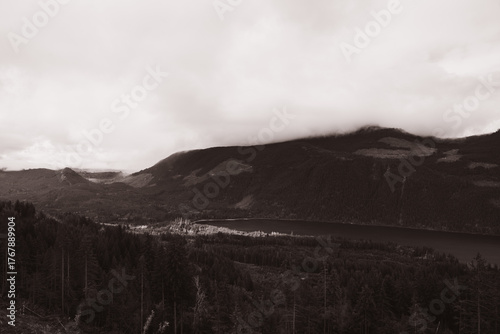 A powerful west coast mountain side showcasing an old logging road