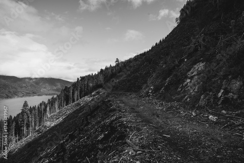 A powerful west coast mountain side showcasing an old logging road