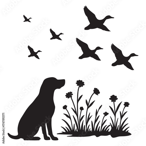 Silhouette vector hunting dog with flying ducks illustration on white background