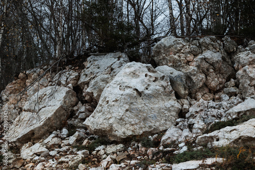 weathered boulders and moss patches, detailed view of sediment layers beneath bare tree canopy