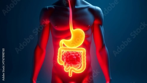 Stomach pain: abdominal discomfort, digestive issues, medical illustration, symptom analysis, treatment options, dietary changes, pain relief, holistic approaches, effective management strategies,