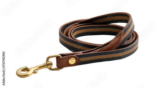 Striped fabric dog leash with brass clasp & leather accents on a dark background