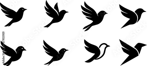 Vector illustration, silhouette of 8 flying birds