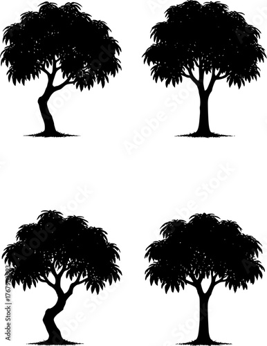 Vector illustration, silhouette of 4 mango trees