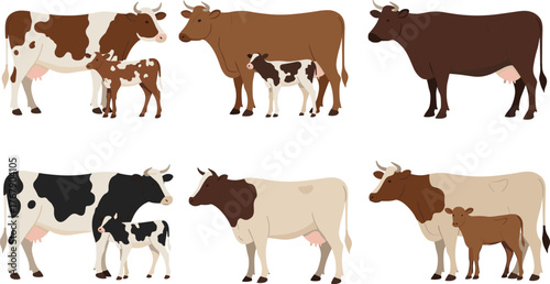 Cow and calf vector illustration, six cartoon pairs in diverse colors and patterns, white background for agriculture, education, and livestock design